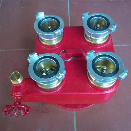 HỌNG TIẾP NƯỚC 4 CỬA D150